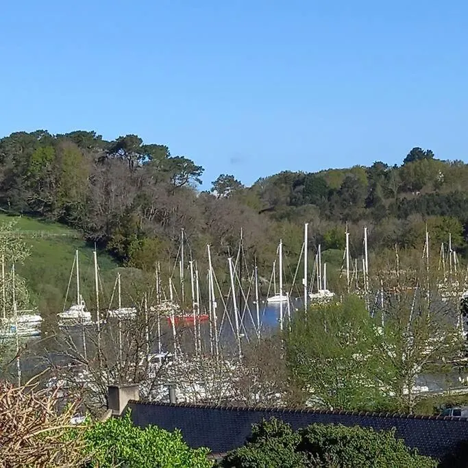 Chez Amedee, Location En Bord De Vilaine Villa Marzan